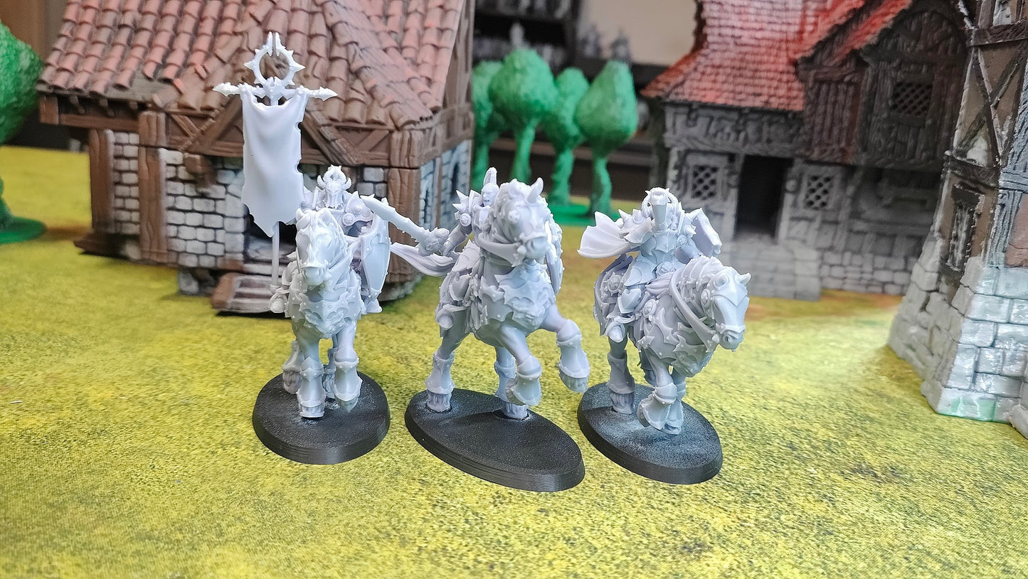 Realms of Mayhem Knights Command Group