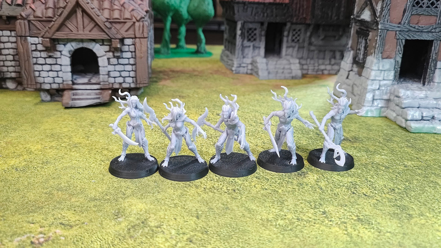 Evergreen Elves – Spirits of the Forest