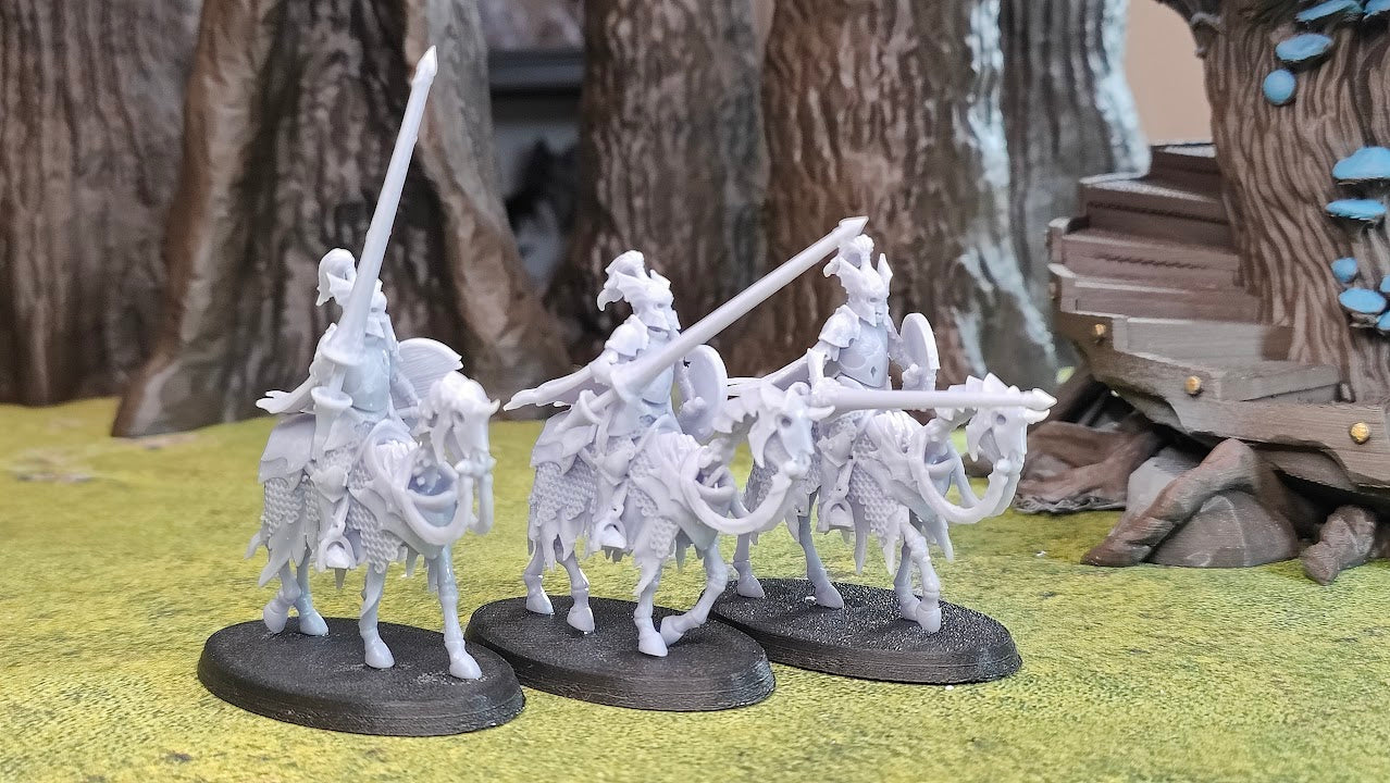 Grave Knights with Lance and Shield