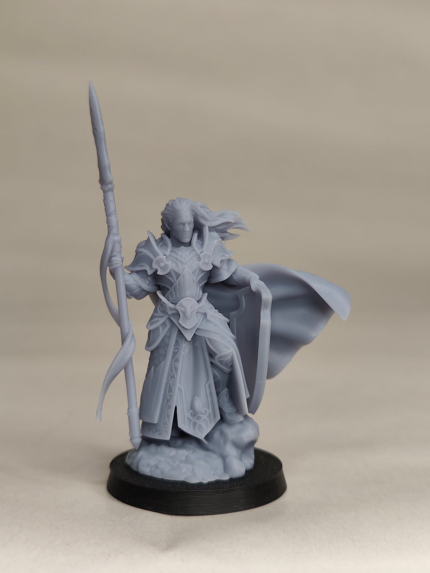 Polomhir, Silvermoor Elves Commander with Spear and Shield