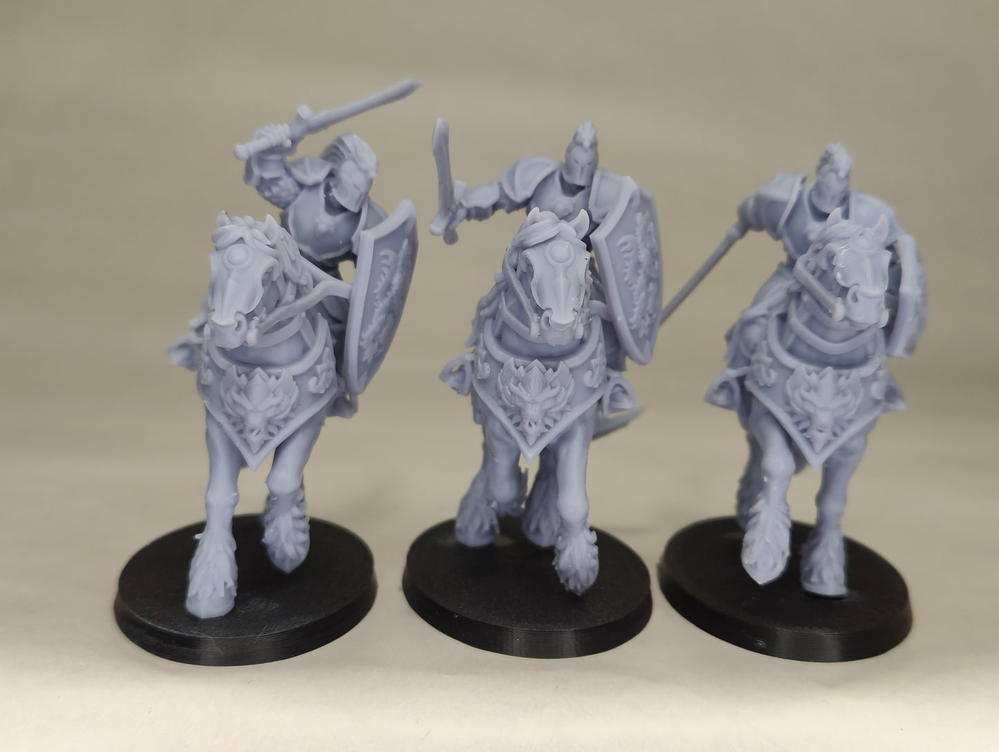 Storm-Knights with Sword and Shield