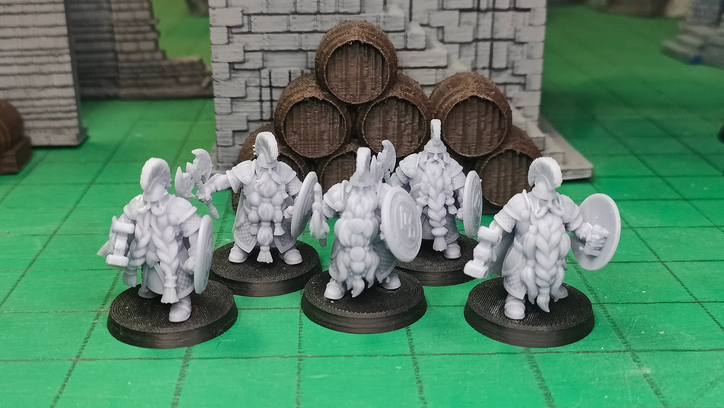 Highborn Wariors with Axe and Shield fra Dwarven Kingdoms