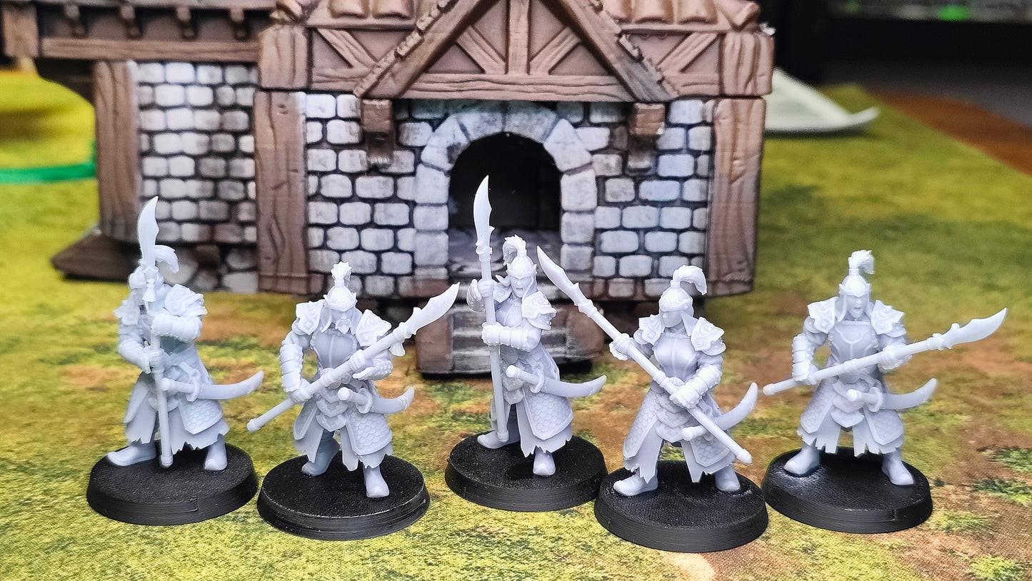 Astarii Dynasty Spearmen with Halberd
