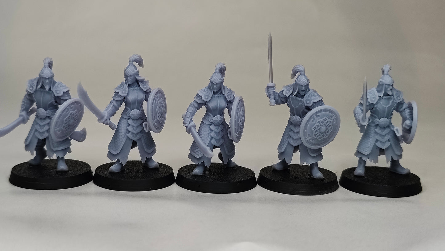 Astarii Dynasty Warriors with Sword and Shield
