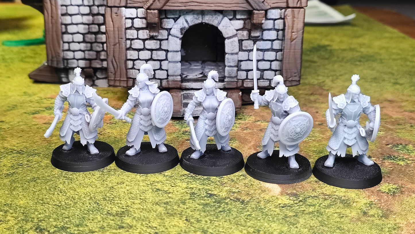 Astarii Dynasty Warriors with Sword and Shield