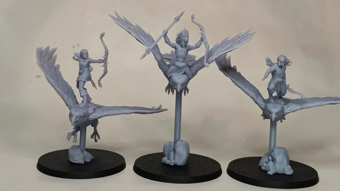 Evergreen Elves Hawk Hunters