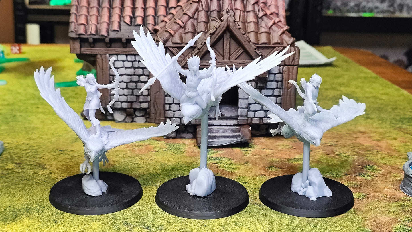 Evergreen Elves Hawk Hunters