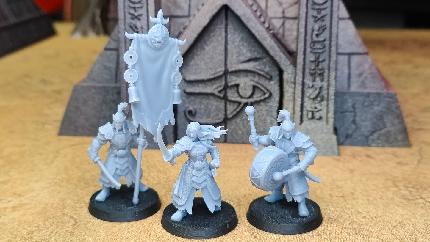 Astarii Dynasty Warriors Command Group