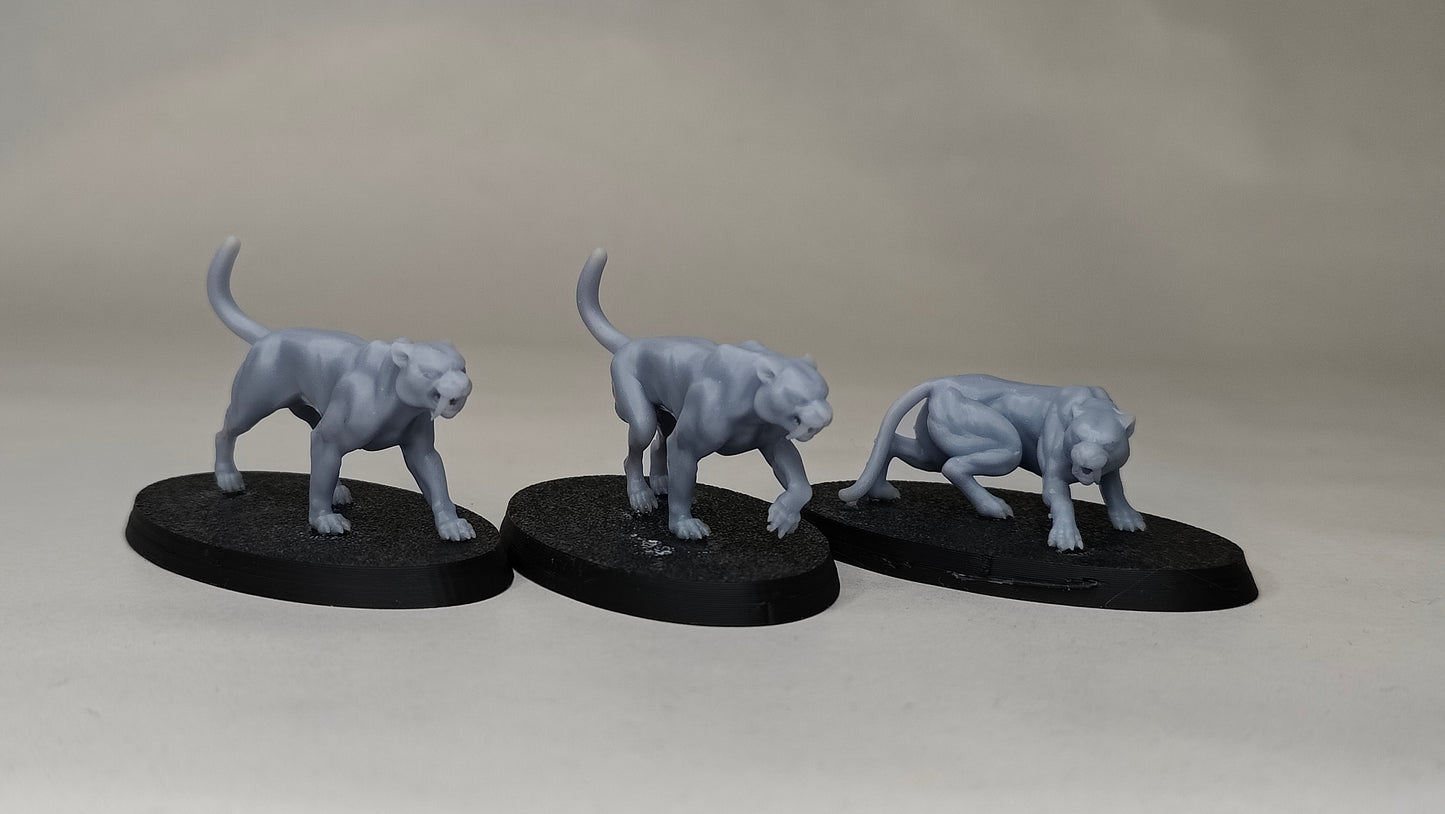 Evergreen Elves Beastmasters with Animals