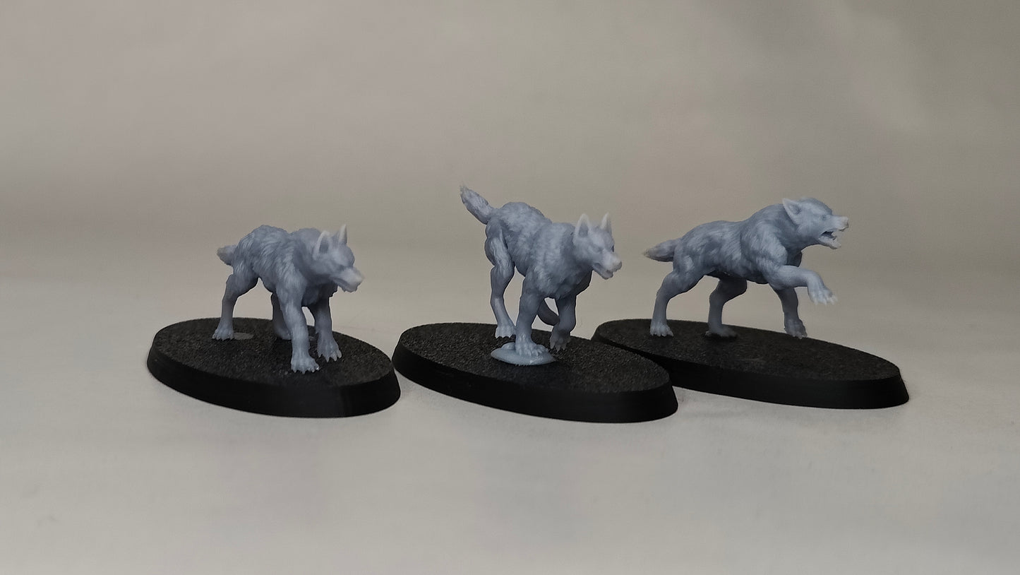 Evergreen Elves Beastmasters with Animals