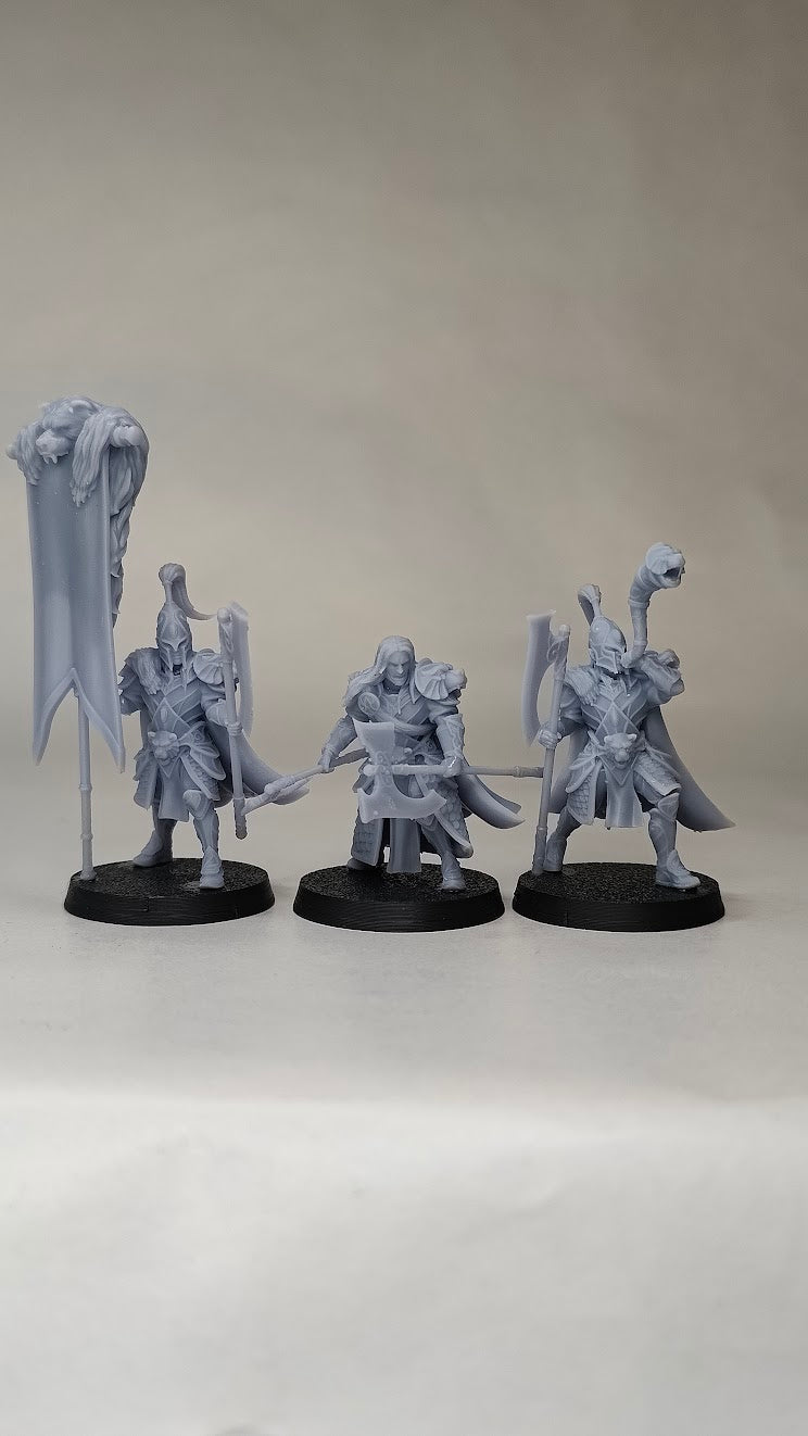 Silvermoor Elves Bear Guardians Command Group