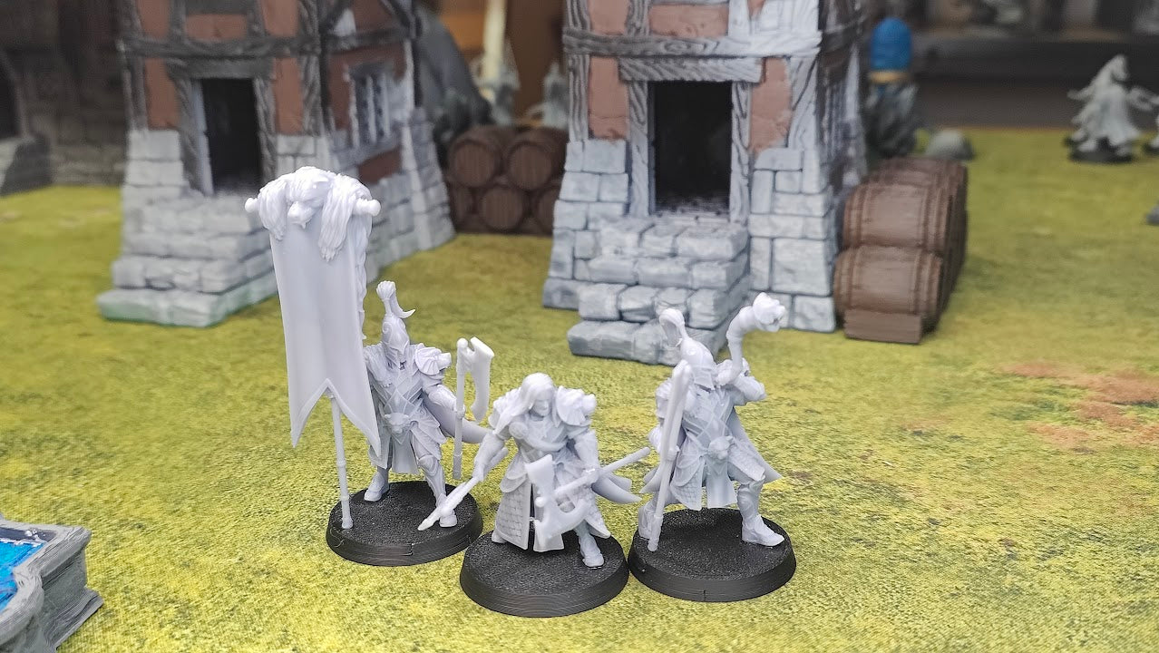 Silvermoor Elves Bear Guardians Command Group