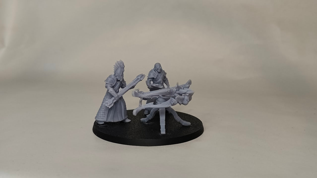 Silvermoor Elves Ballista