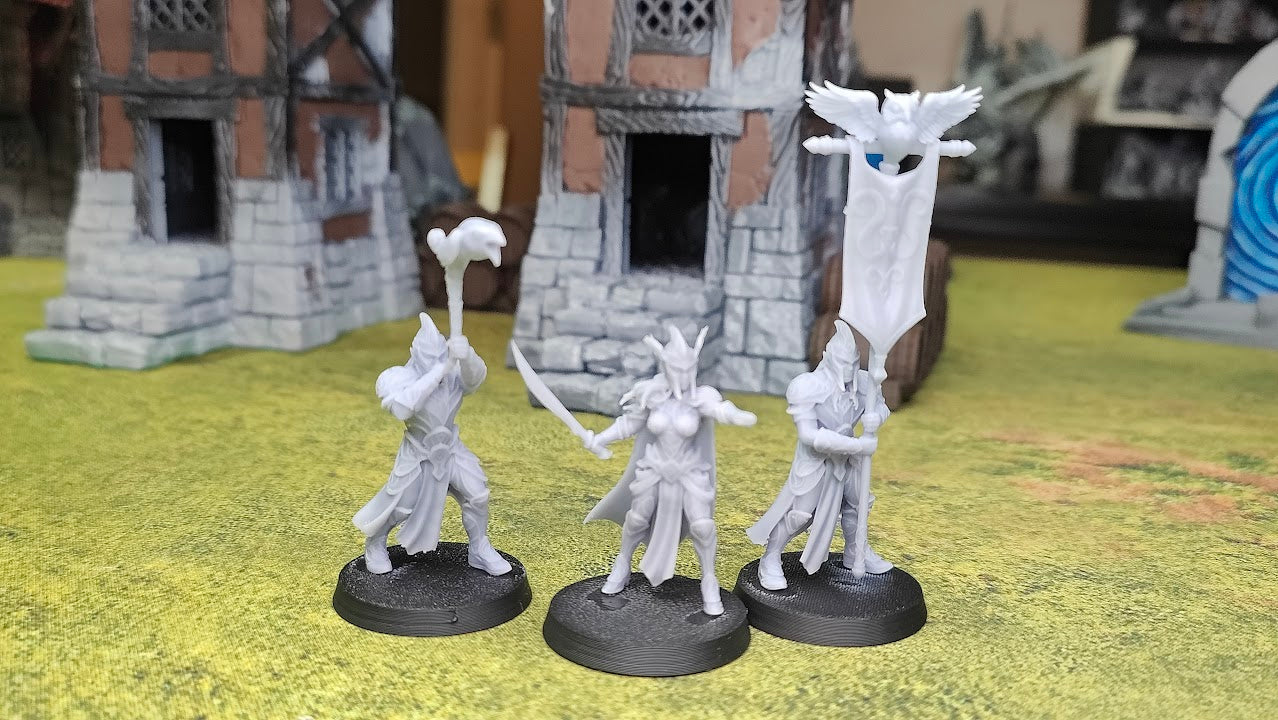 Silvermoor Elves Command Group