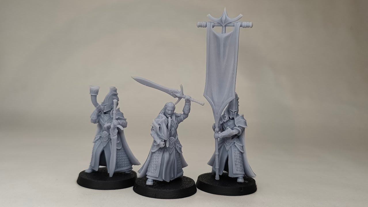 Silvermoor Elves Blades of Ashur Command Group