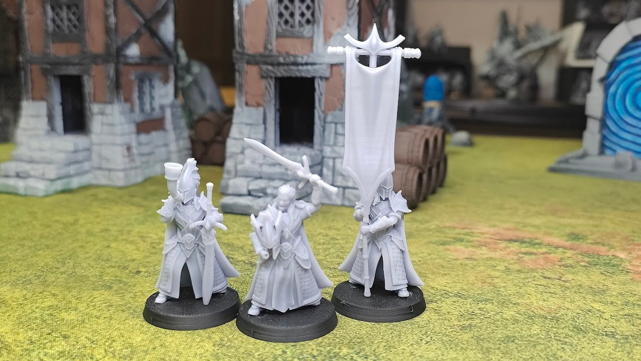 Silvermoor Elves Blades of Ashur Command Group