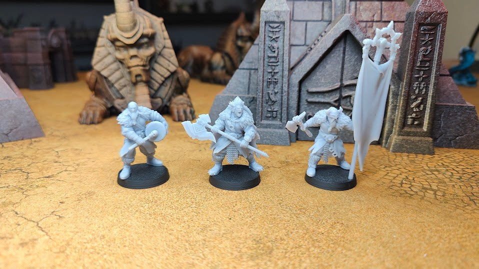 Northern Reavers Command Group