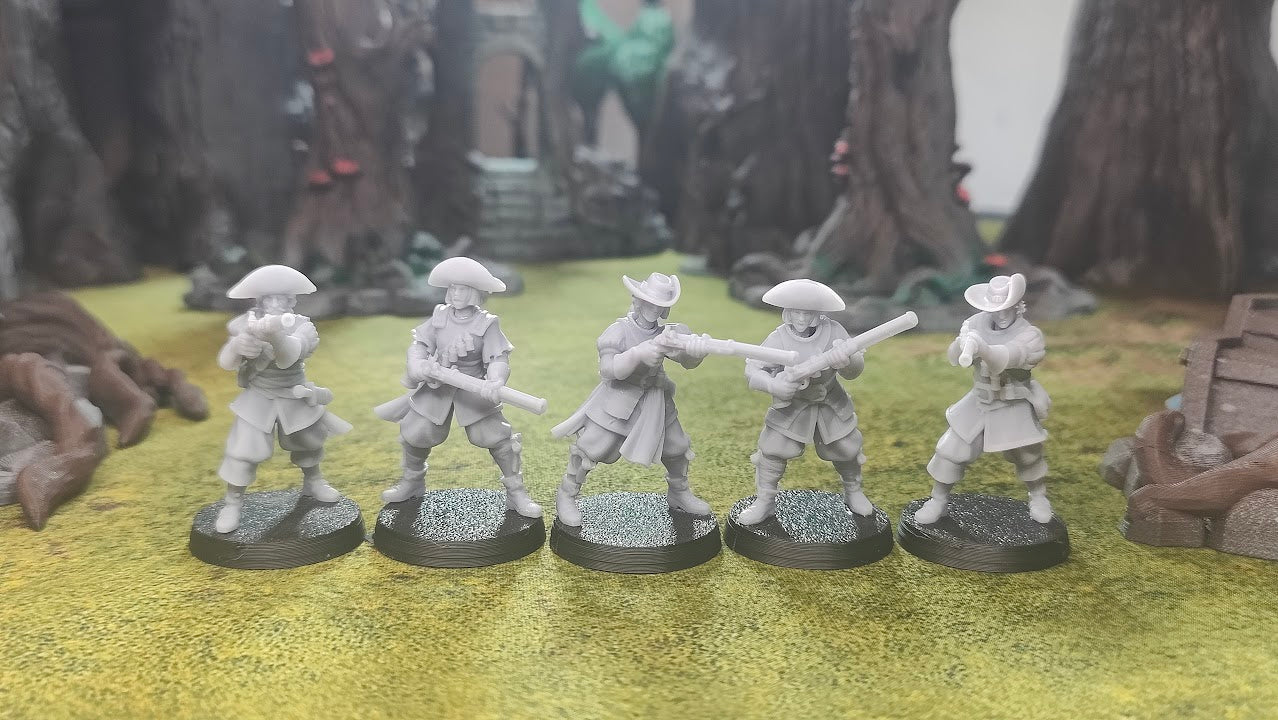 Musketeers with Gun