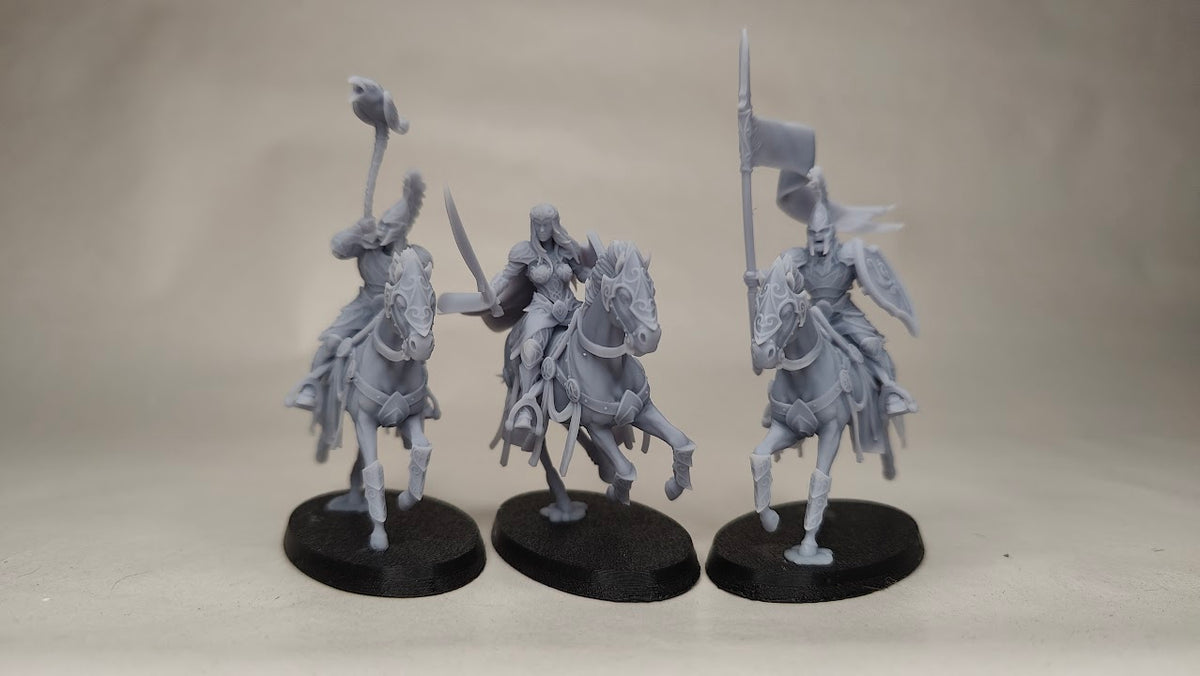 Light Cavalry Command Group