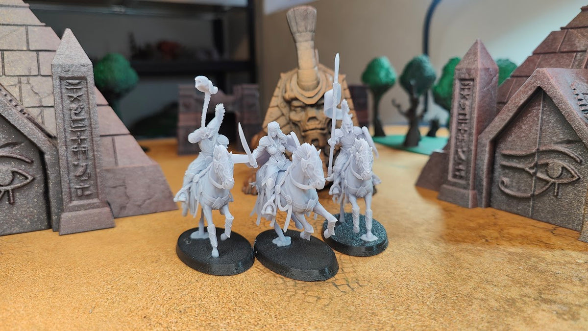 Light Cavalry Command Group