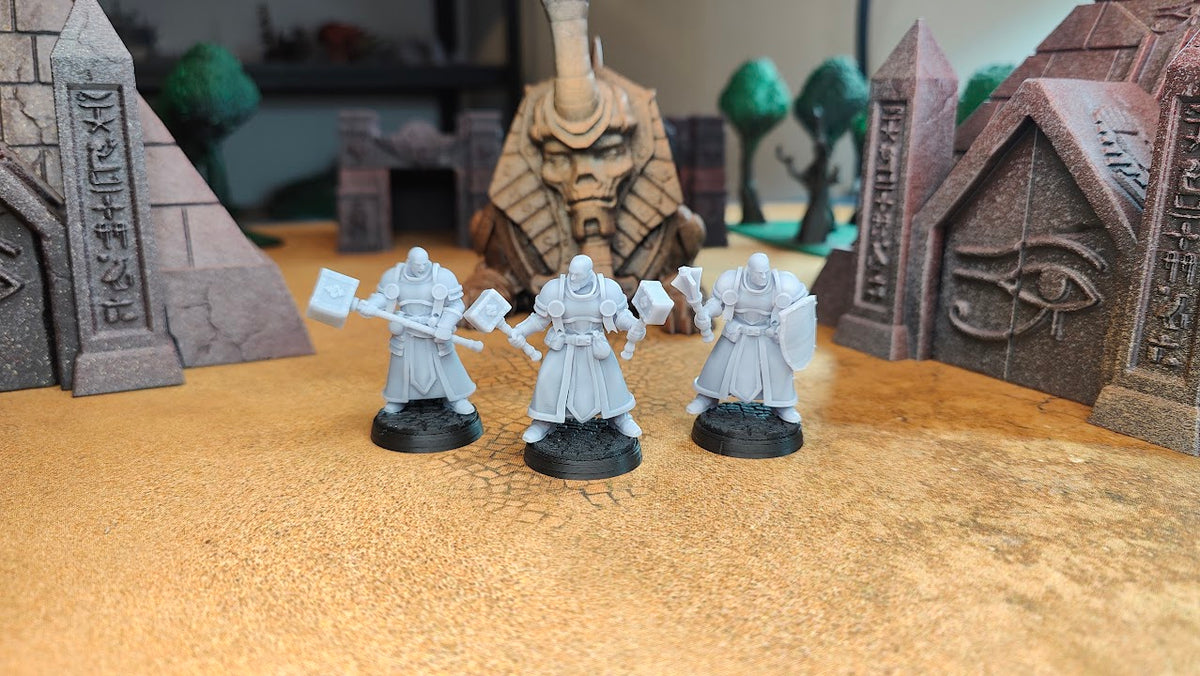 Warrior Priests